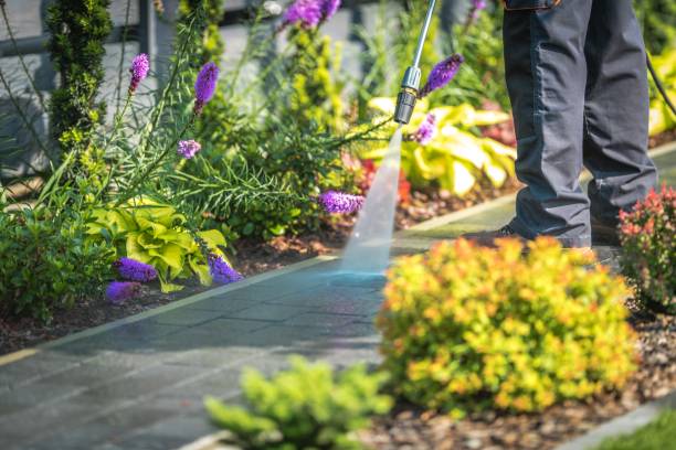 Best Gutter Cleaning  in Brightwaters, NY
